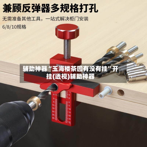 辅助神器“玉海楼茶园有没有挂”开挂(透视)辅助神器-第2张图片