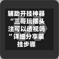 辅助开挂神器“三哥玩摆头注可以透视吗”详细分享装挂步骤-第2张图片