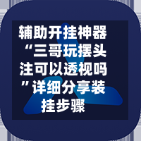辅助开挂神器“三哥玩摆头注可以透视吗”详细分享装挂步骤-第3张图片
