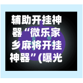 辅助开挂神器“微乐家乡麻将开挂神器”(曝光透视必备猫腻)-第2张图片