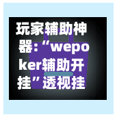 玩家辅助神器:“wepoker辅助开挂”透视挂!详细分享装挂步骤