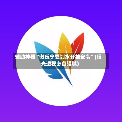 辅助神器“微乐宁夏划水开挂安装”(曝光透视必备猫腻)-第2张图片