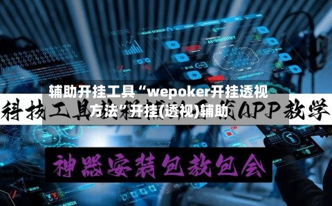 辅助开挂工具“wepoker开挂透视方法	”开挂(透视)辅助-第2张图片