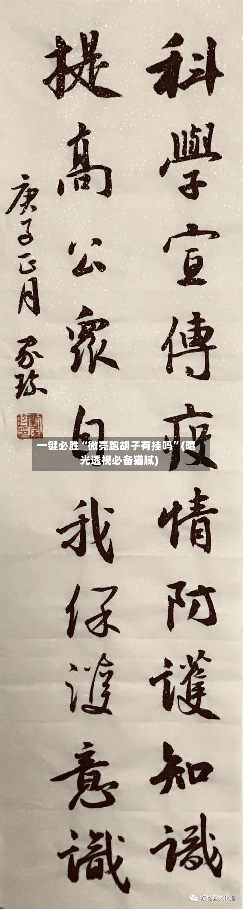 一键必胜“微壳跑胡子有挂吗”(曝光透视必备猫腻)