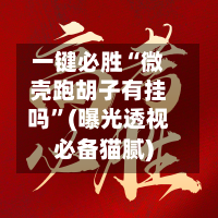 一键必胜“微壳跑胡子有挂吗”(曝光透视必备猫腻)-第3张图片