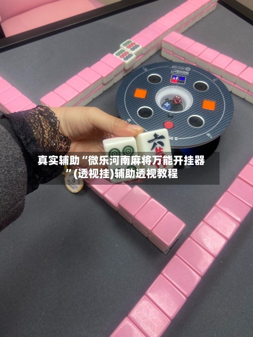 真实辅助“微乐河南麻将万能开挂器”(透视挂)辅助透视教程-第2张图片