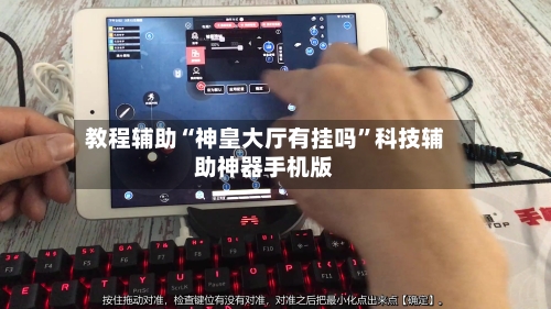 教程辅助“神皇大厅有挂吗”科技辅助神器手机版-第3张图片