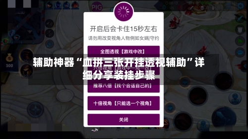 辅助神器“血拼三张开挂透视辅助”详细分享装挂步骤