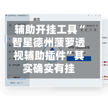 辅助开挂工具“智星德州菠萝透视辅助插件”其实确实有挂