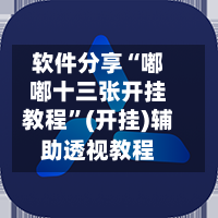软件分享“嘟嘟十三张开挂教程	”(开挂)辅助透视教程-第2张图片
