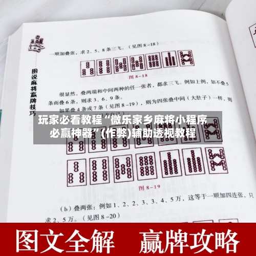 玩家必看教程“微乐家乡麻将小程序必赢神器”(作弊)辅助透视教程