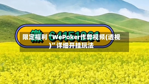 限定福利“WePoker作弊视频(透视)”详细开挂玩法