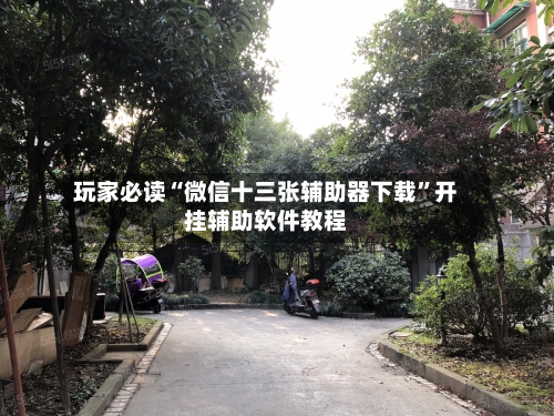 玩家必读“微信十三张辅助器下载”开挂辅助软件教程-第3张图片