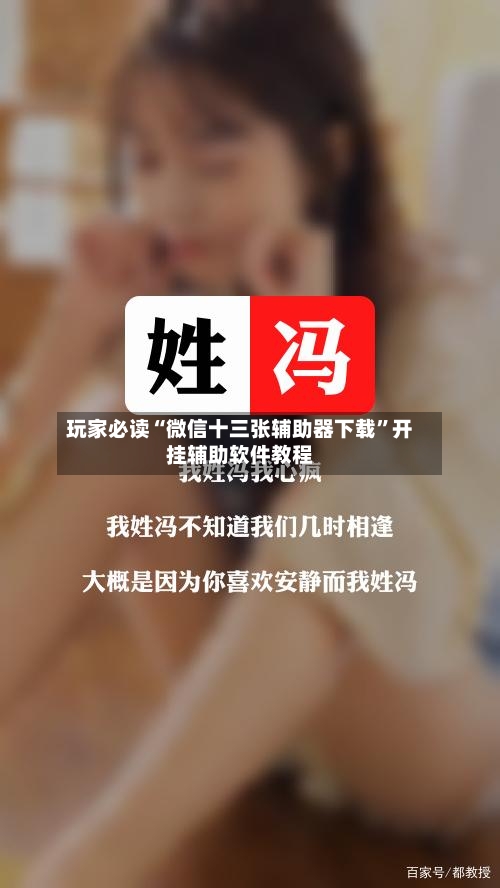 玩家必读“微信十三张辅助器下载	”开挂辅助软件教程-第2张图片