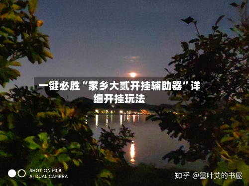一键必胜“家乡大贰开挂辅助器”详细开挂玩法-第2张图片
