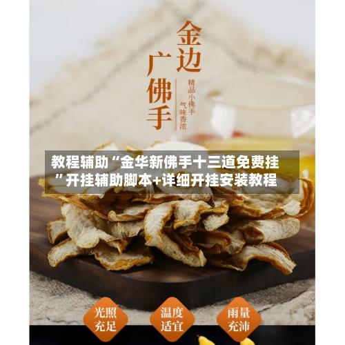 教程辅助“金华新佛手十三道免费挂”开挂辅助脚本+详细开挂安装教程
