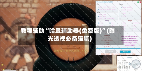教程辅助“哈灵辅助器(免费版)”(曝光透视必备猫腻)
