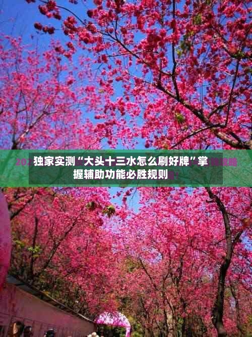 独家实测“大头十三水怎么刷好牌”掌握辅助功能必胜规则