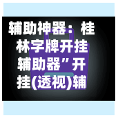 辅助神器：桂林字牌开挂辅助器”开挂(透视)辅助教程