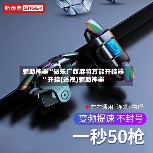 辅助神器“微乐广西麻将万能开挂器	”开挂(透视)辅助神器-第2张图片