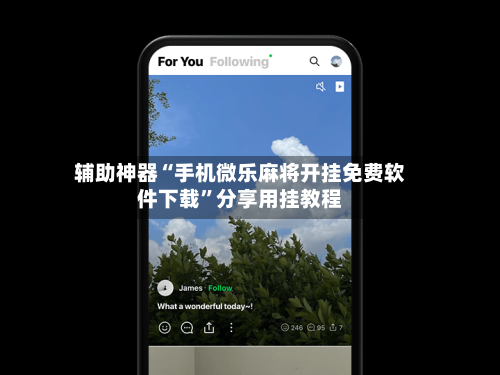 辅助神器“手机微乐麻将开挂免费软件下载”分享用挂教程-第2张图片