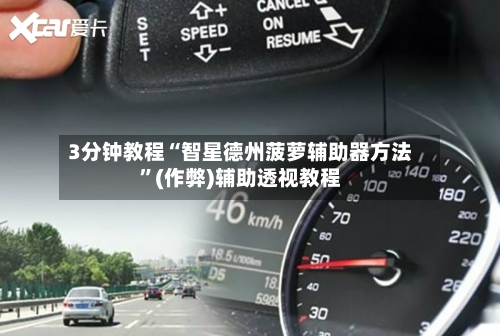 3分钟教程“智星德州菠萝辅助器方法”(作弊)辅助透视教程