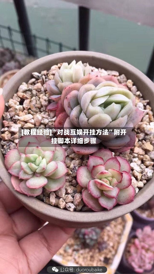 [教程经验]“对战互娱开挂方法	”附开挂脚本详细步骤-第2张图片