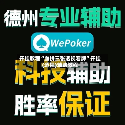 开挂教程“血拼三张透视看牌”开挂(透视)辅助教程-第3张图片