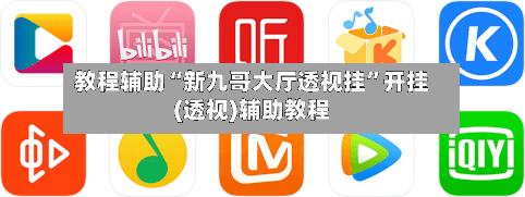 教程辅助“新九哥大厅透视挂	”开挂(透视)辅助教程-第3张图片