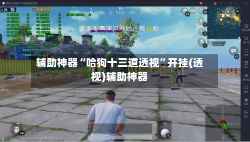 辅助神器“哈狗十三道透视”开挂(透视)辅助神器-第2张图片