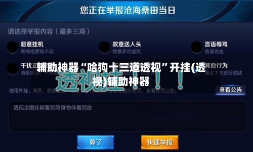 辅助神器“哈狗十三道透视	”开挂(透视)辅助神器-第3张图片