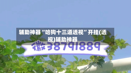 辅助神器“哈狗十三道透视”开挂(透视)辅助神器
