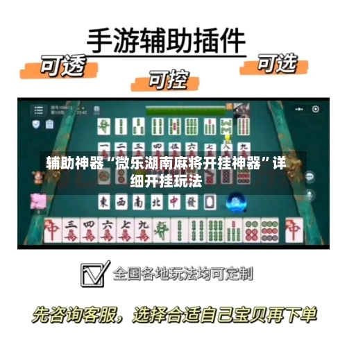 辅助神器“微乐湖南麻将开挂神器”详细开挂玩法-第2张图片