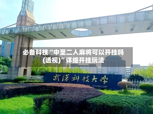 必备科技“中至二人麻将可以开挂吗(透视)”详细开挂玩法-第3张图片