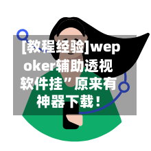 [教程经验]wepoker辅助透视软件挂”原来有神器下载！-第2张图片