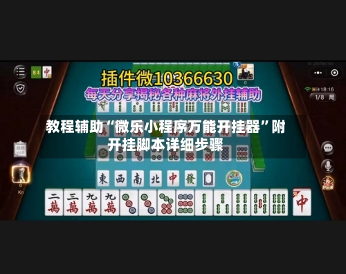 教程辅助“微乐小程序万能开挂器”附开挂脚本详细步骤-第2张图片