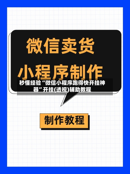 秒懂经验“微信小程序跑得快开挂神器	”开挂(透视)辅助教程-第3张图片