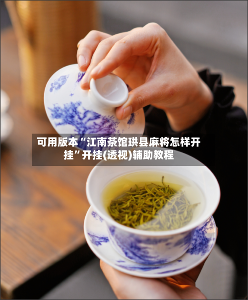 可用版本“江南茶馆珙县麻将怎样开挂”开挂(透视)辅助教程-第2张图片