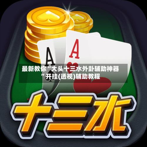最新教你“大头十三水外卦辅助神器”开挂(透视)辅助教程
