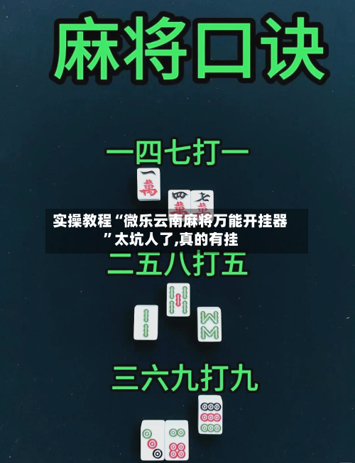 实操教程“微乐云南麻将万能开挂器”太坑人了,真的有挂