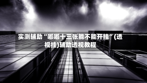 实测辅助“嘟嘟十三张能不能开挂”(透视挂)辅助透视教程-第3张图片