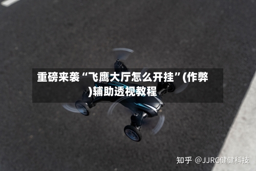 重磅来袭“飞鹰大厅怎么开挂”(作弊)辅助透视教程-第2张图片