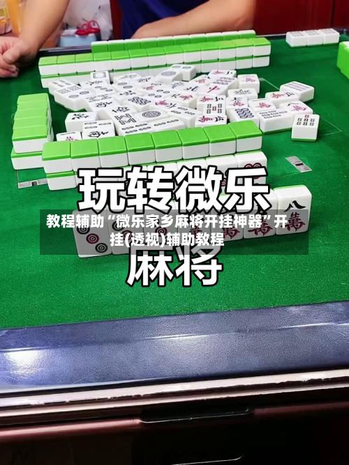 教程辅助“微乐家乡麻将开挂神器	”开挂(透视)辅助教程-第2张图片