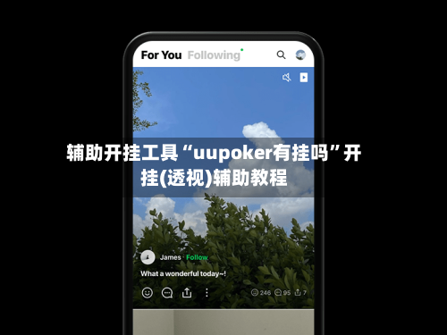 辅助开挂工具“uupoker有挂吗”开挂(透视)辅助教程-第2张图片