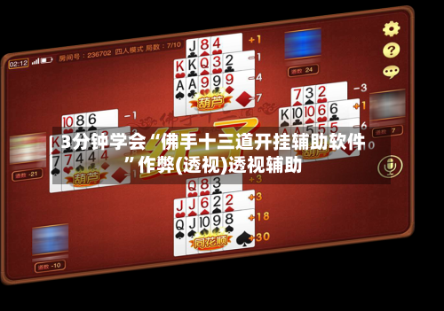 3分钟学会“佛手十三道开挂辅助软件”作弊(透视)透视辅助