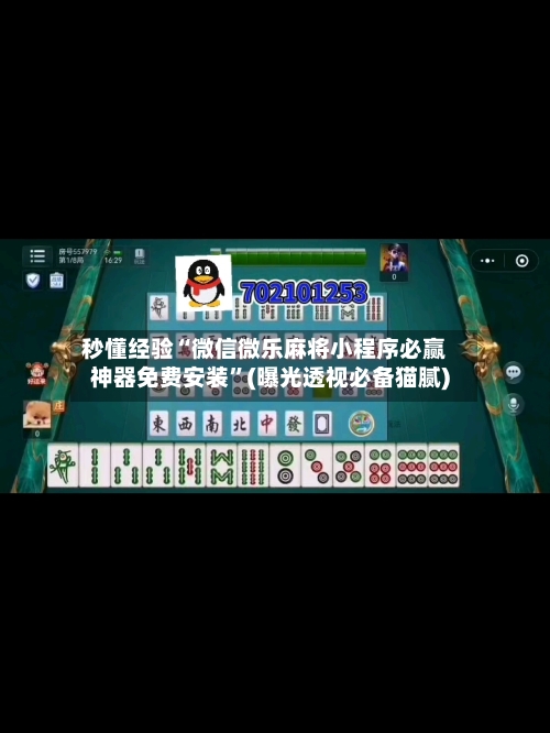 秒懂经验“微信微乐麻将小程序必赢神器免费安装”(曝光透视必备猫腻)