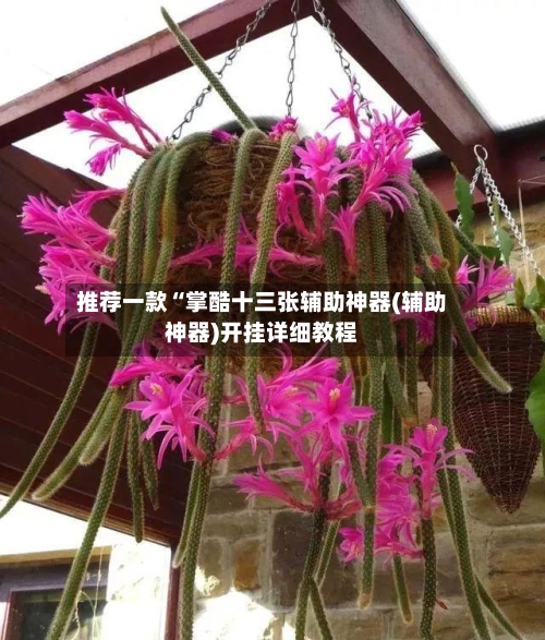 推荐一款“掌酷十三张辅助神器(辅助神器)开挂详细教程-第2张图片