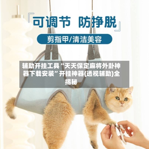 辅助开挂工具“天天保定麻将外卦神器下载安装”开挂神器{透视辅助}全揭秘-第2张图片