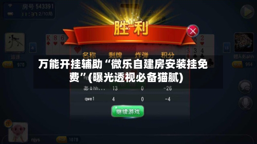 万能开挂辅助“微乐自建房安装挂免费”(曝光透视必备猫腻)-第3张图片