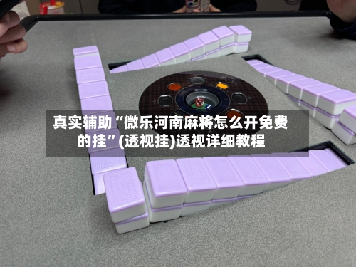 真实辅助“微乐河南麻将怎么开免费的挂	”(透视挂)透视详细教程-第2张图片